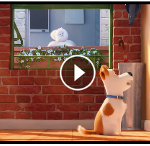 YouTube preview of The Secret Life of Pets at Second Geekhood