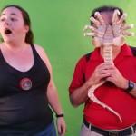 AFOL-Husband-and-Madwoman-from-Second-Geekhood-with-Facehugger