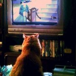 Rhubarb Watching Regular Show for Second Geekhood